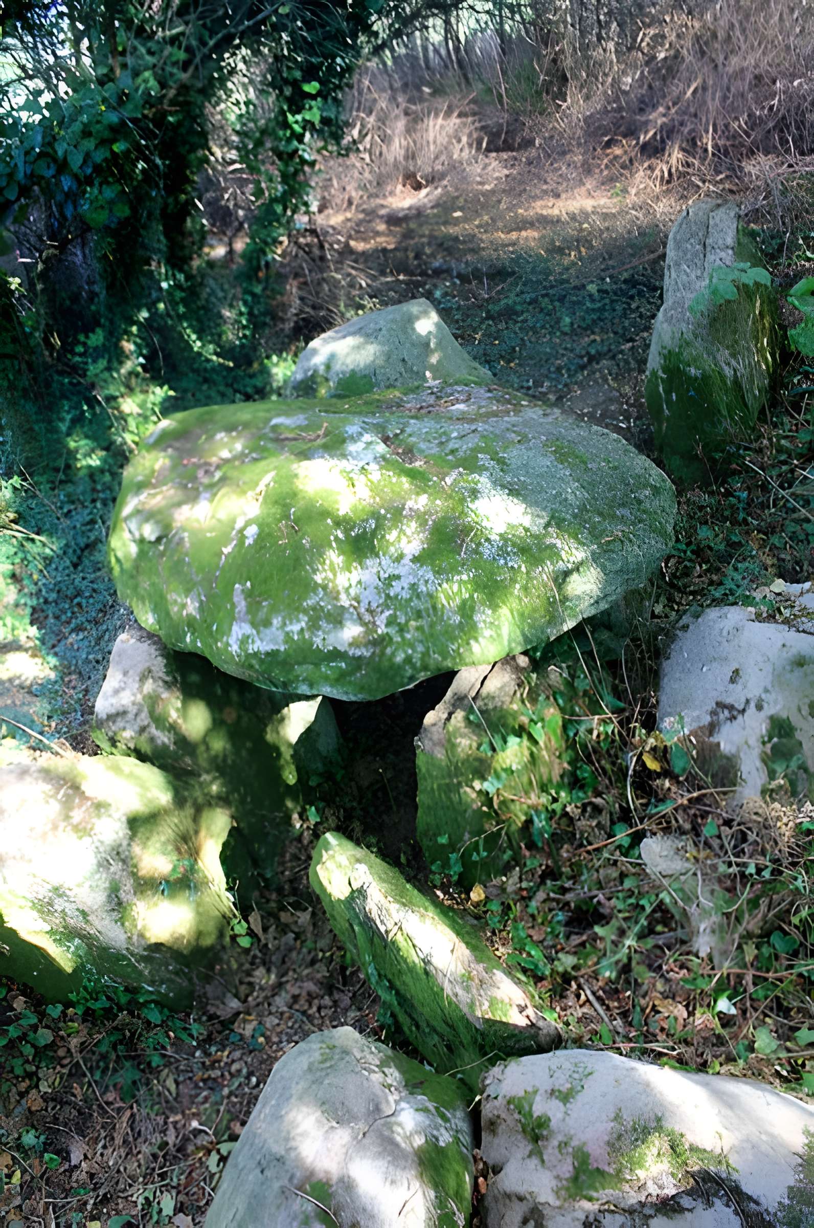 Dolmen de Locqueltas à Locoal-Mendon