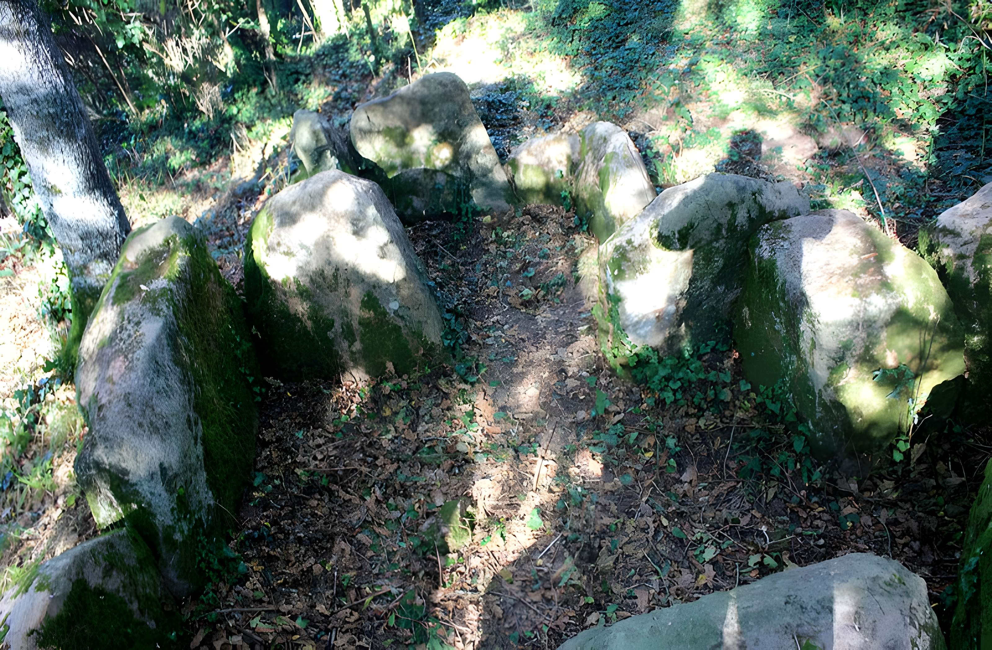 Dolmen de Locqueltas à Locoal-Mendon