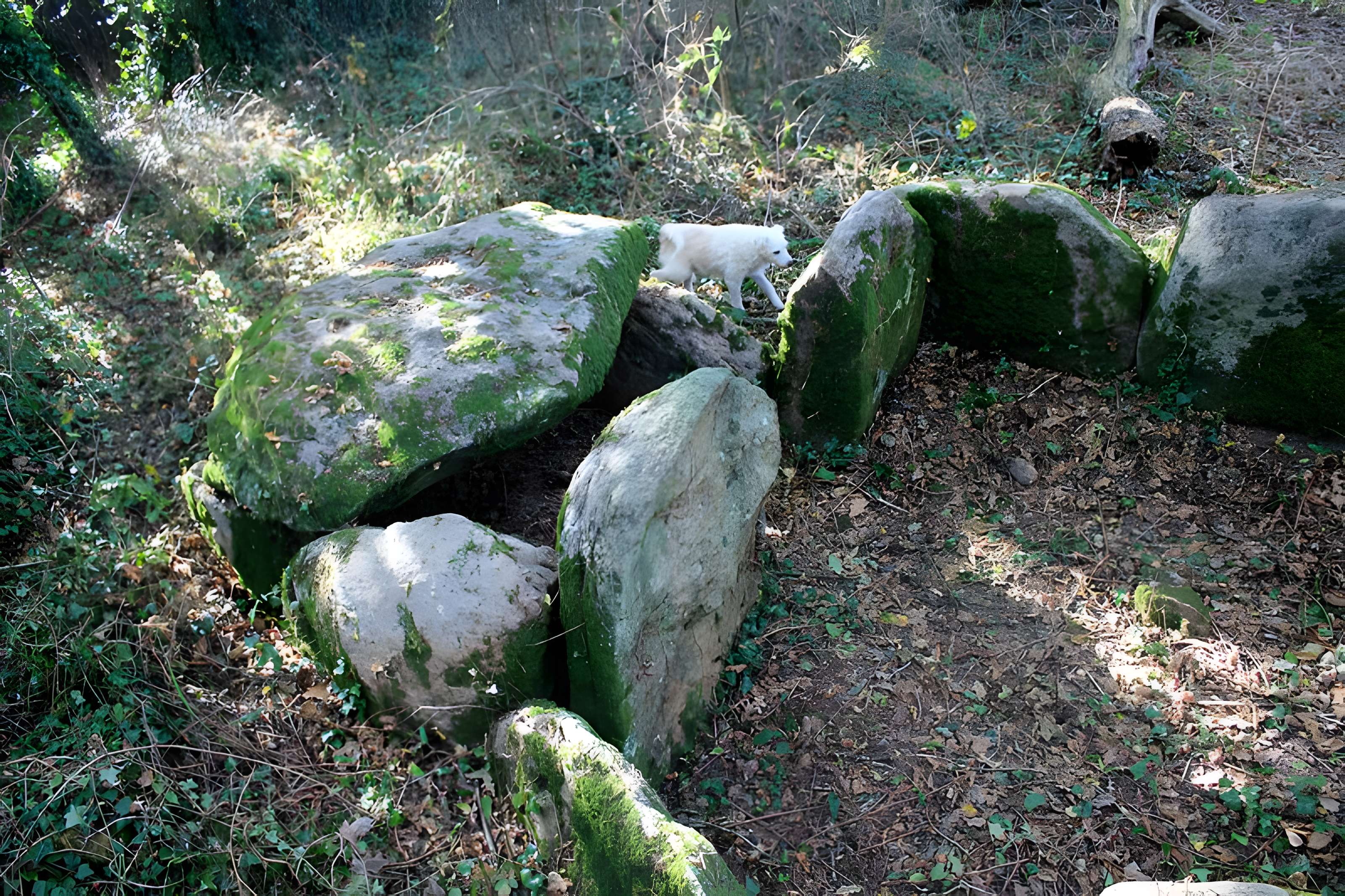 Dolmen de Locqueltas à Locoal-Mendon