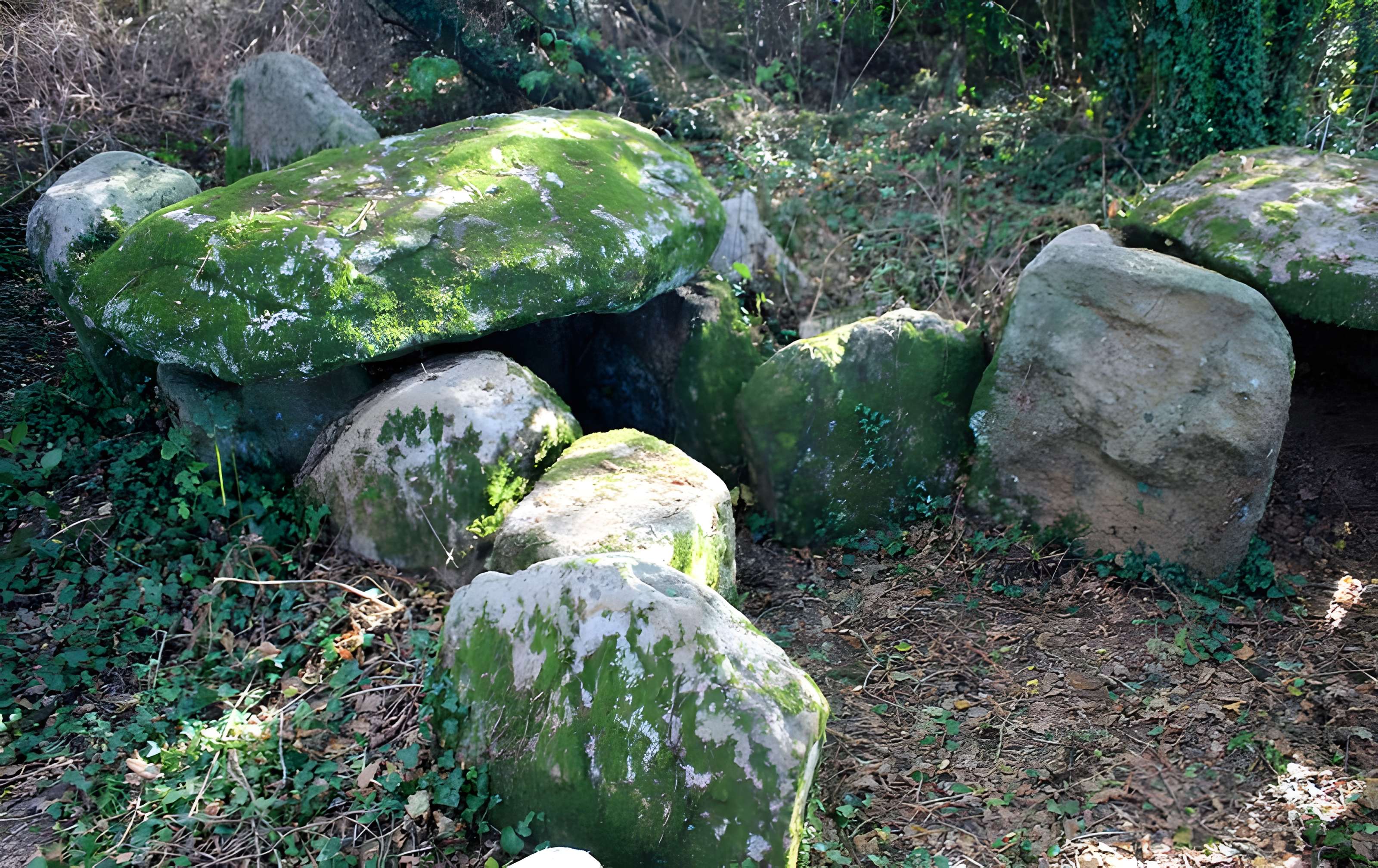 Dolmen de Locqueltas à Locoal-Mendon