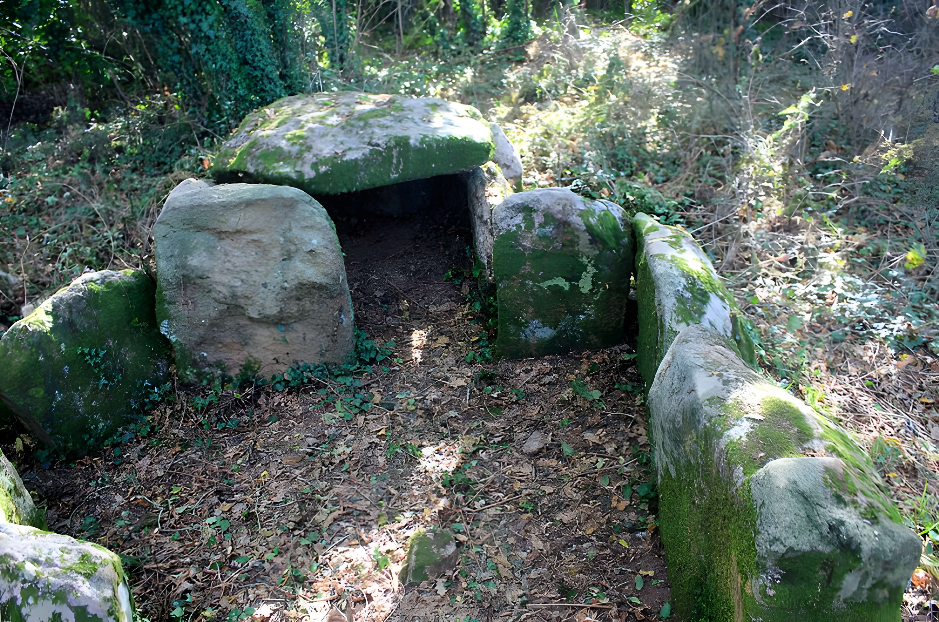 Dolmen de Locqueltas à Locoal-Mendon