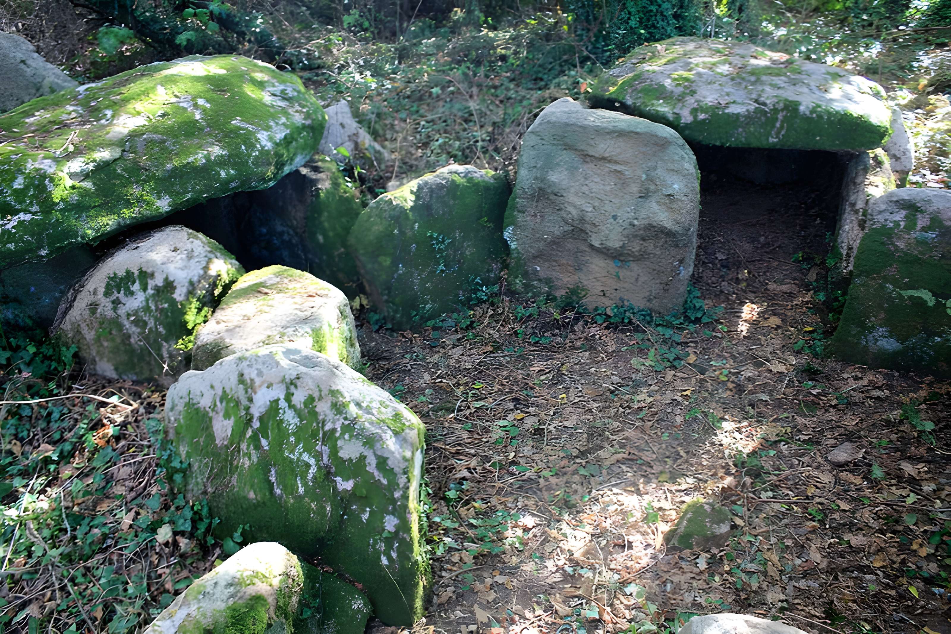 Dolmen de Locqueltas à Locoal-Mendon