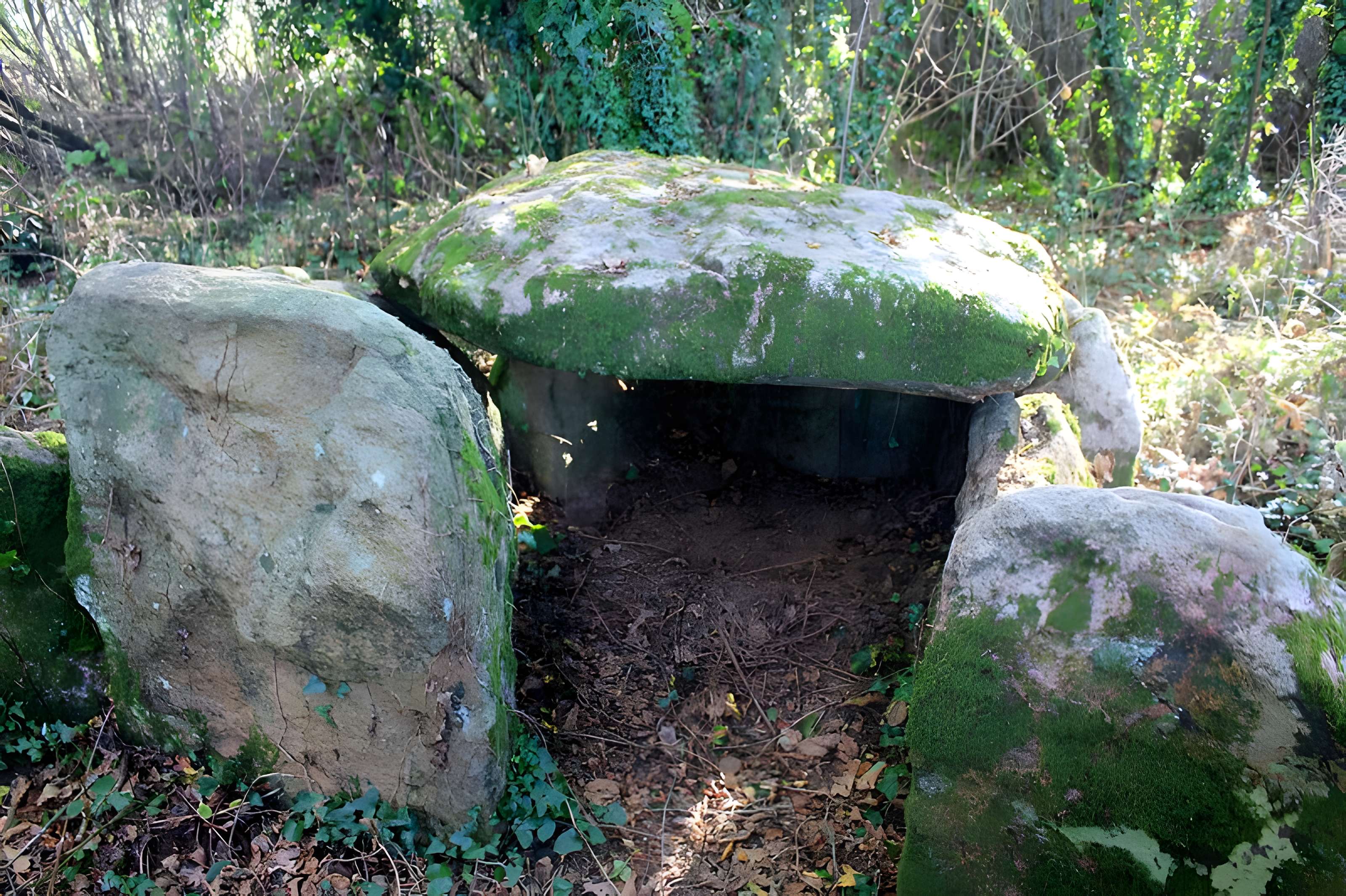 Dolmen de Locqueltas à Locoal-Mendon