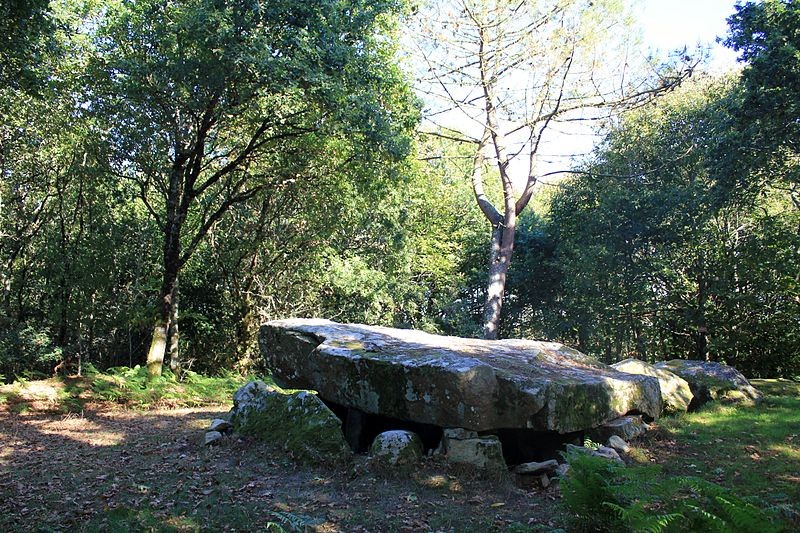 Photo de Dolmen de Mané-er-Loh à Locoal-Mendon
