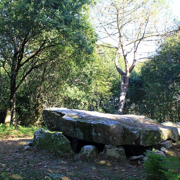 Photo de Dolmen de Mané-er-Loh à Locoal-Mendon