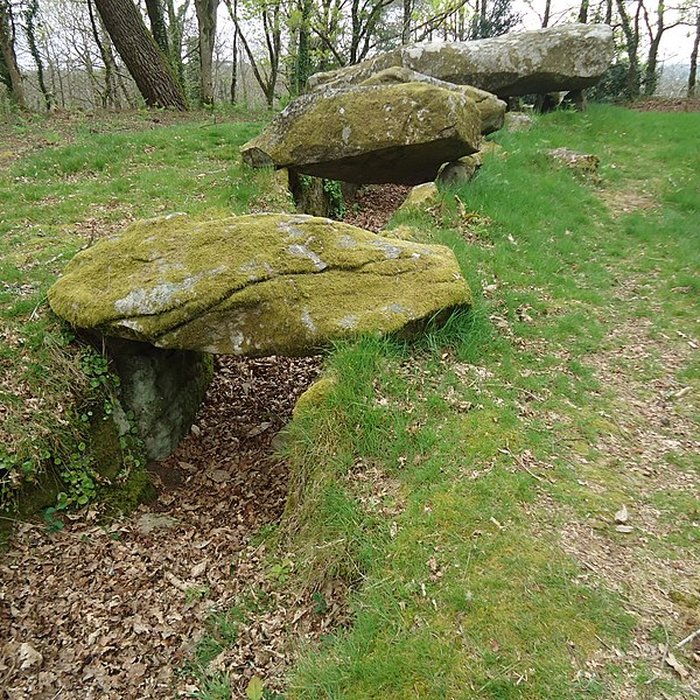 Photo de Dolmen de Mané-er-Loh à Locoal-Mendon