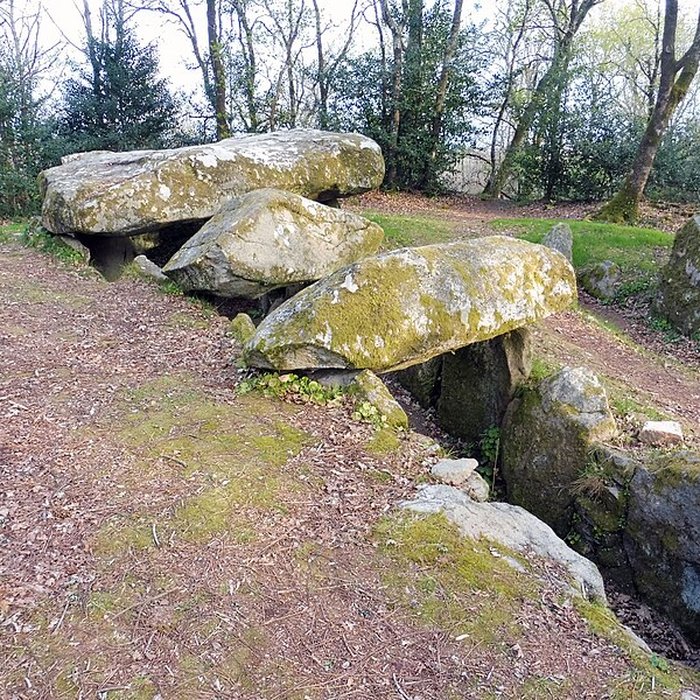 Photo de Dolmen de Mané-er-Loh à Locoal-Mendon