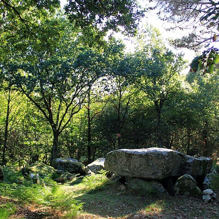 Photo de Dolmen de Mané-er-Loh à Locoal-Mendon