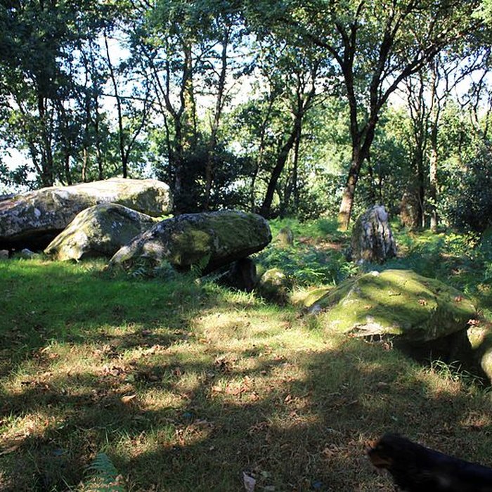 Photo de Dolmen de Mané-er-Loh à Locoal-Mendon