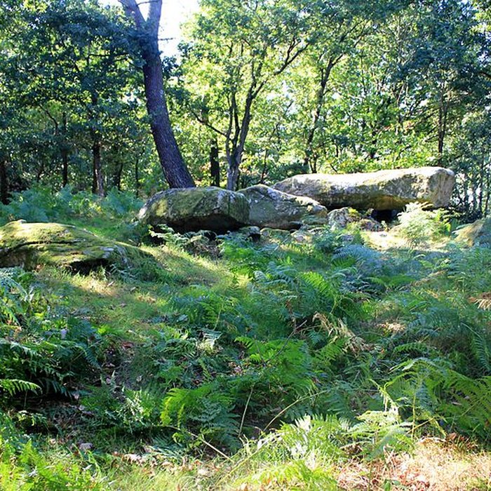 Photo de Dolmen de Mané-er-Loh à Locoal-Mendon