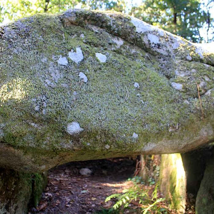 Photo de Dolmen de Mané-er-Loh à Locoal-Mendon