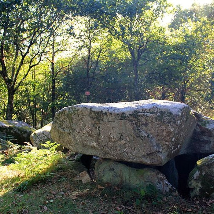 Photo de Dolmen de Mané-er-Loh à Locoal-Mendon