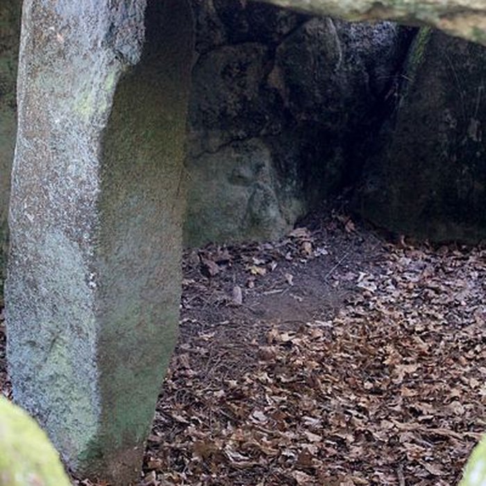 Photo de Dolmen de Mané-er-Loh à Locoal-Mendon