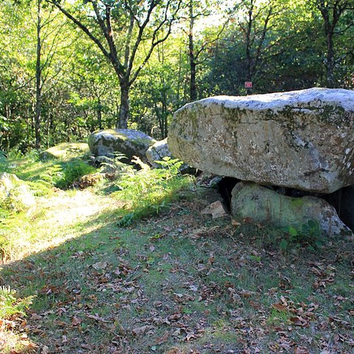 Photo de Dolmen de Mané-er-Loh à Locoal-Mendon