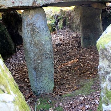 Dolmen de Mané-er-Loh à Locoal-Mendon