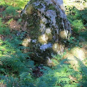 Dolmen de Mané-er-Loh à Locoal-Mendon