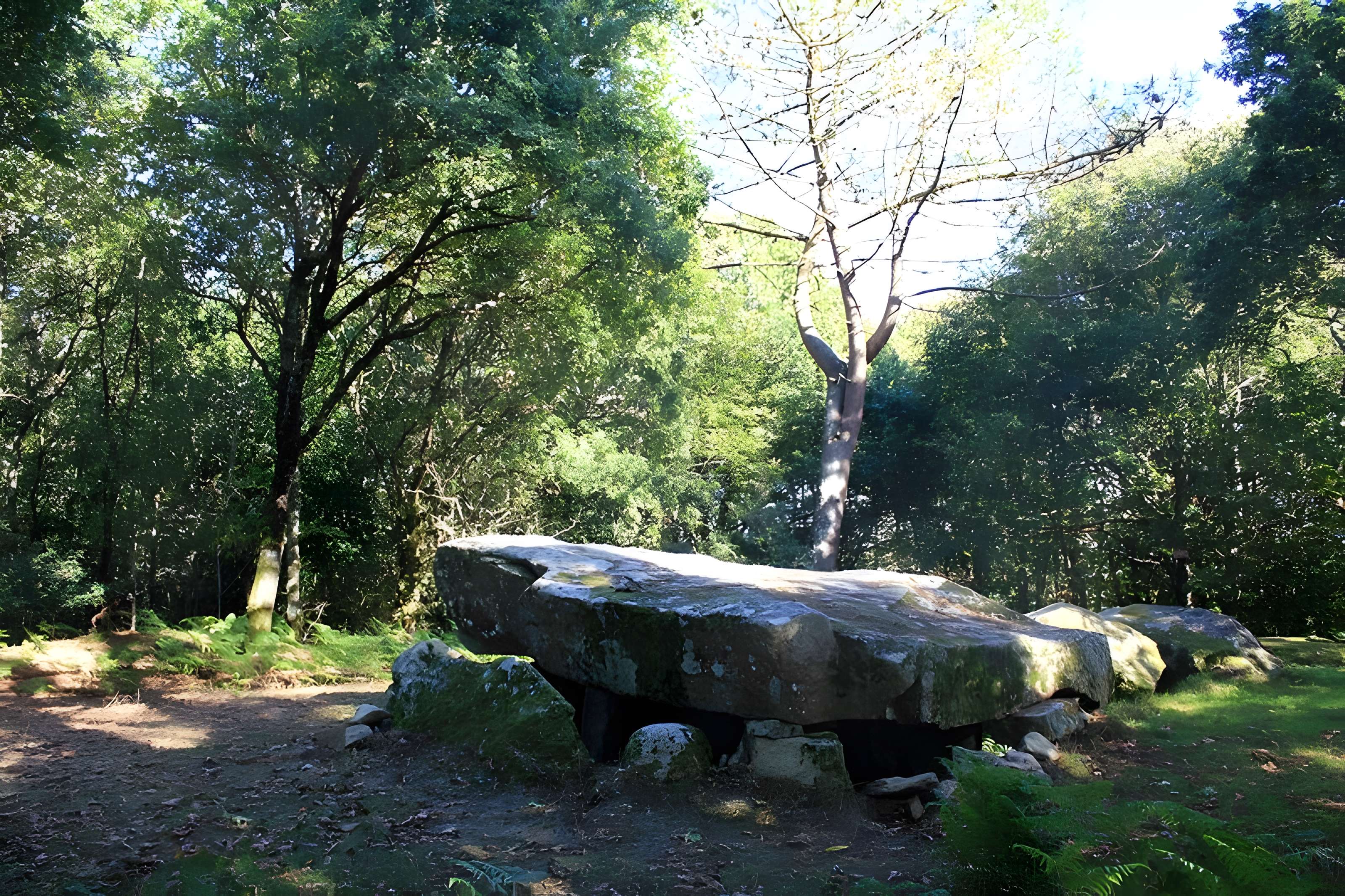 Dolmen de Mané-er-Loh à Locoal-Mendon 