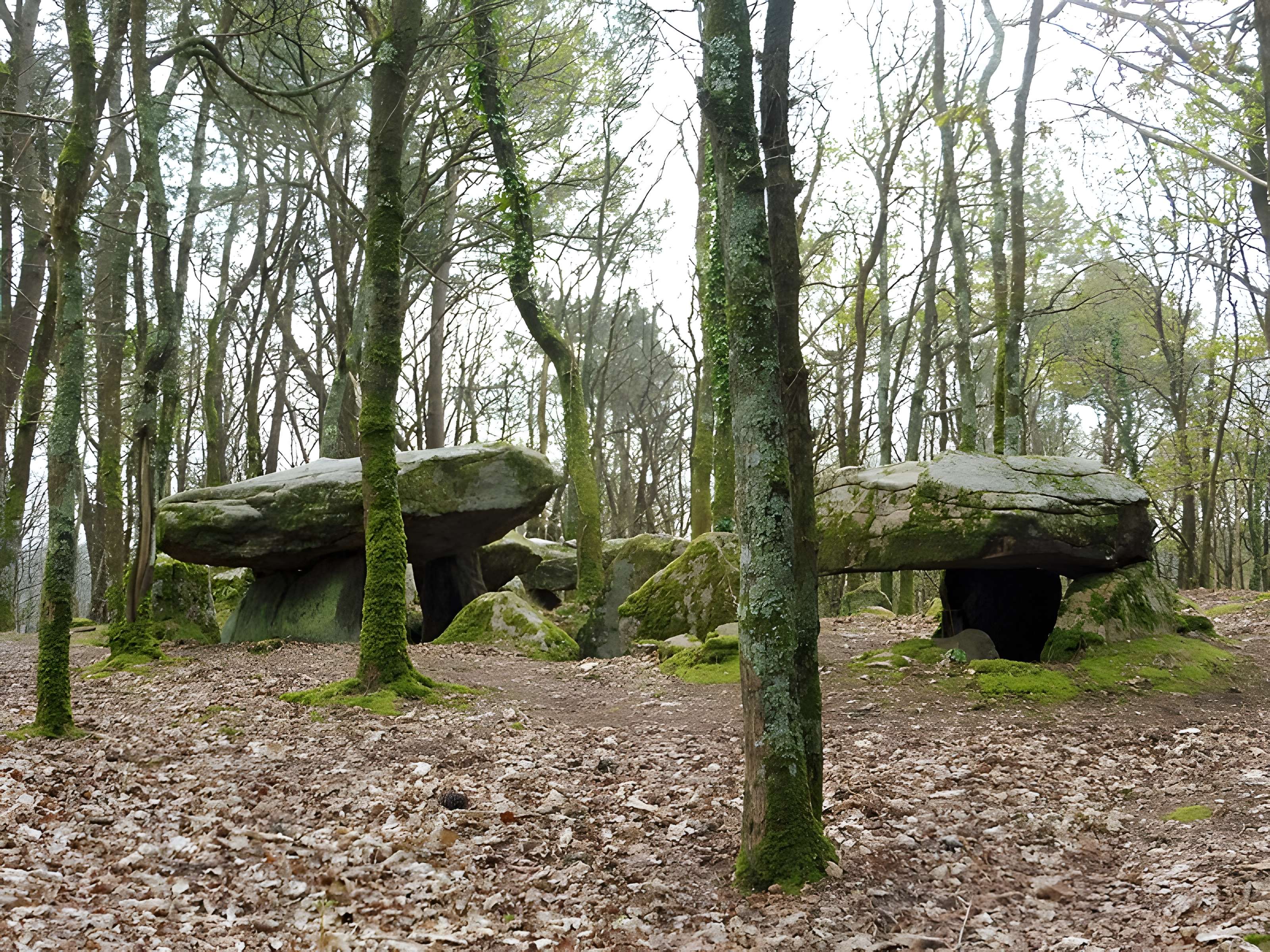Dolmen de Mané-er-Loh à Locoal-Mendon