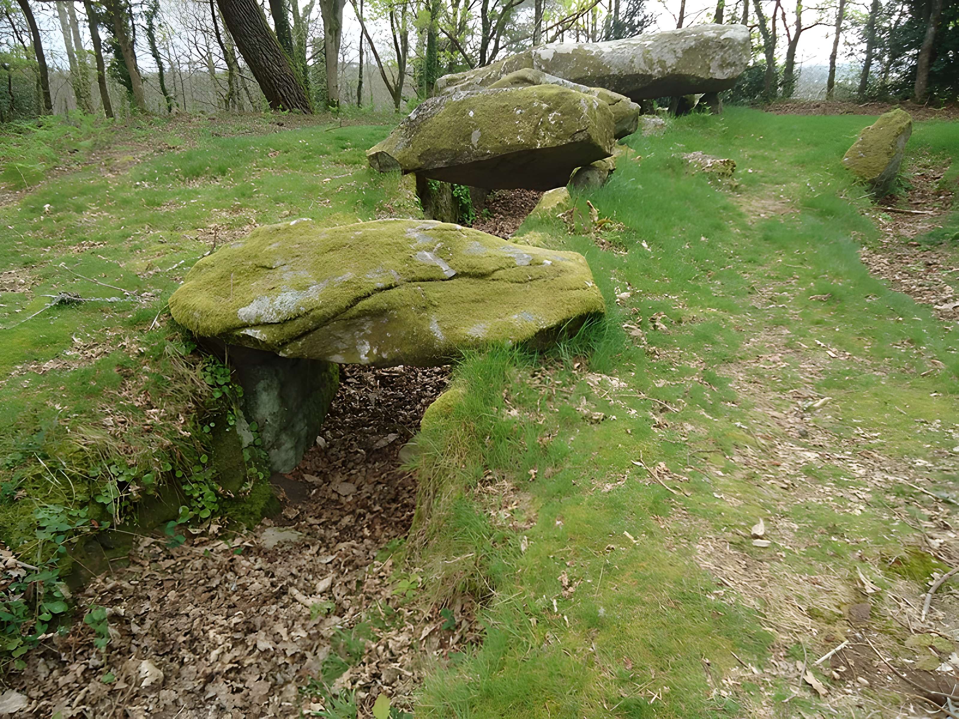 Dolmen de Mané-er-Loh à Locoal-Mendon