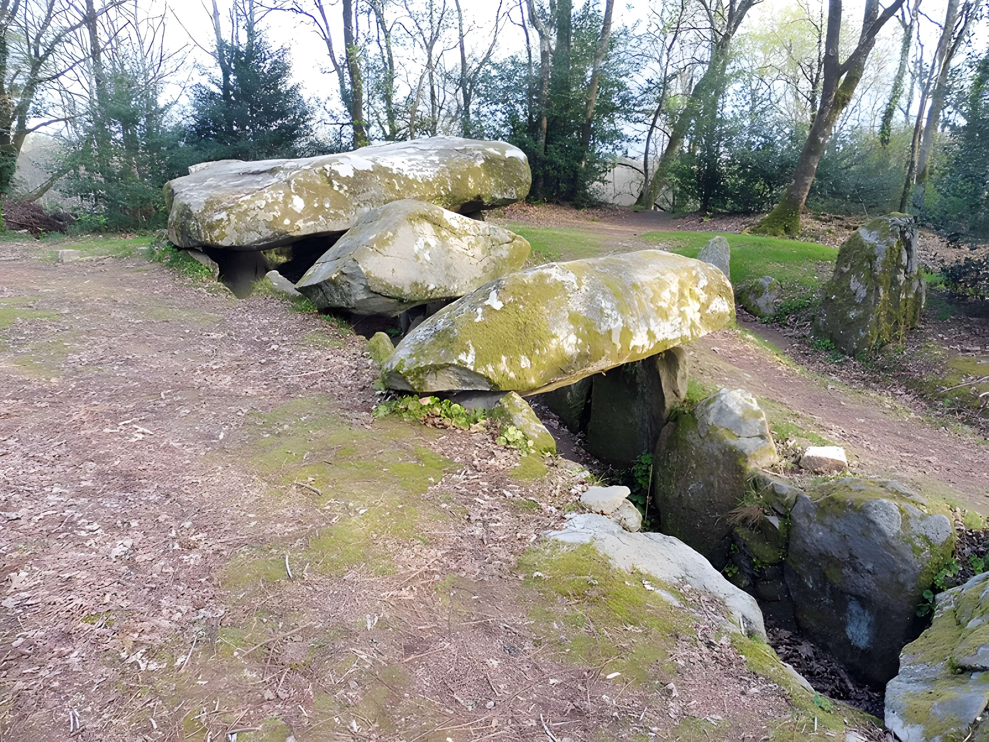 Dolmen de Mané-er-Loh à Locoal-Mendon