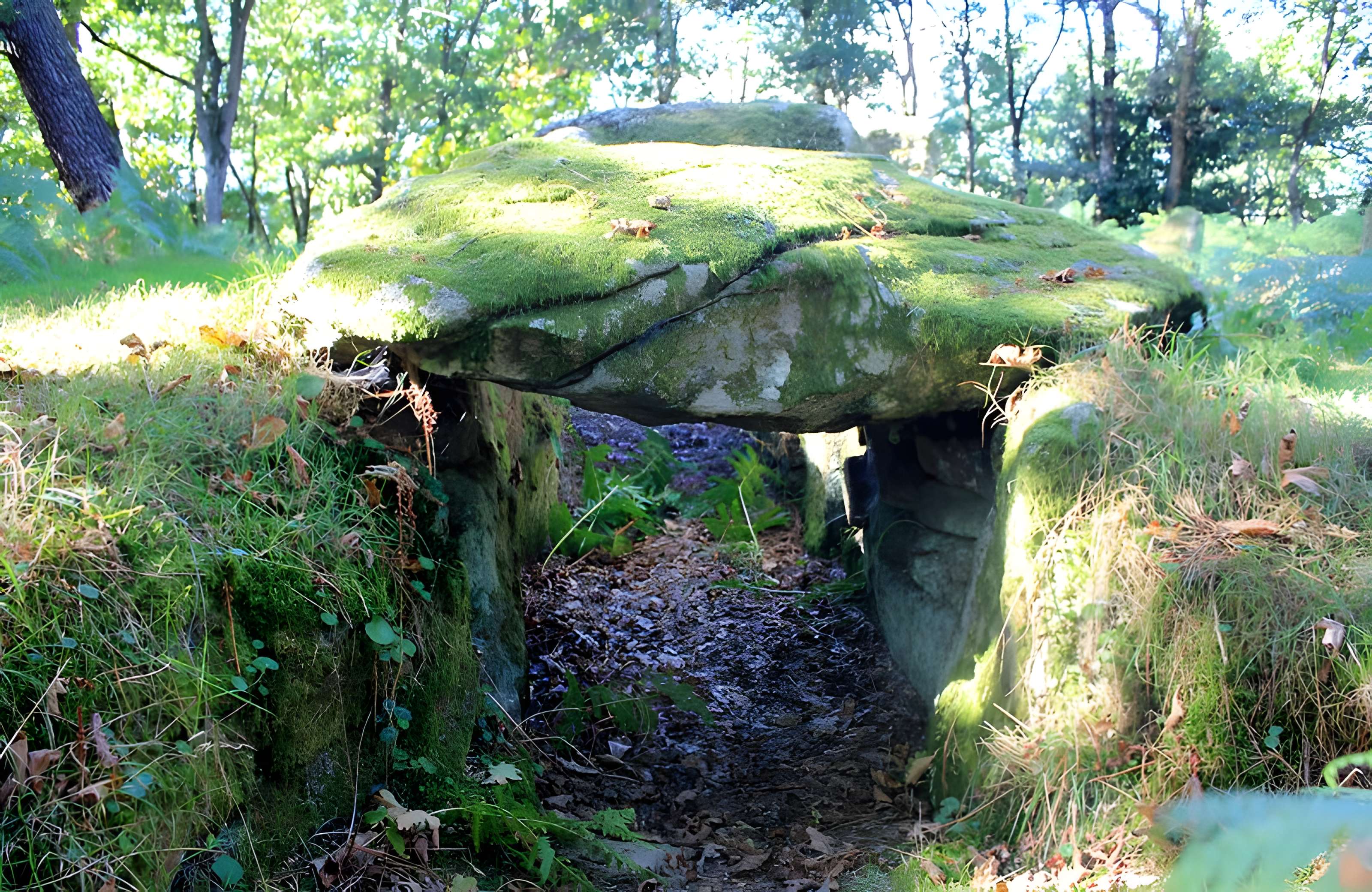 Dolmen de Mané-er-Loh à Locoal-Mendon