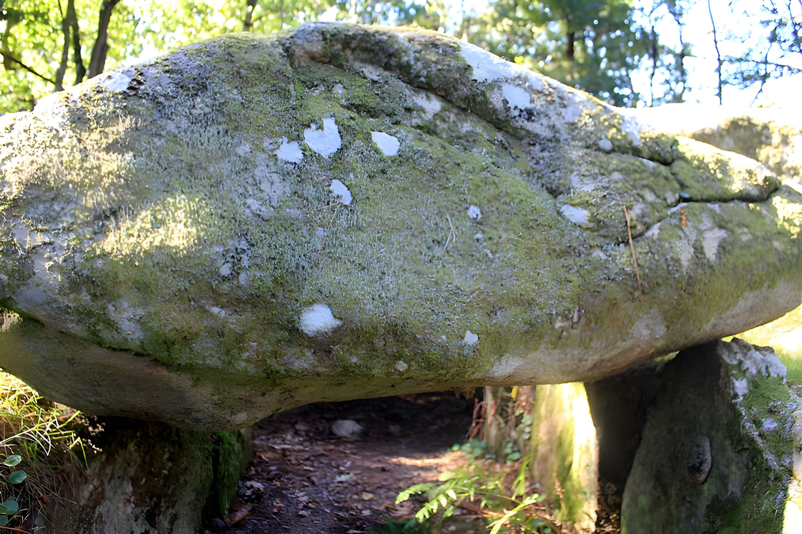Dolmen de Mané-er-Loh à Locoal-Mendon