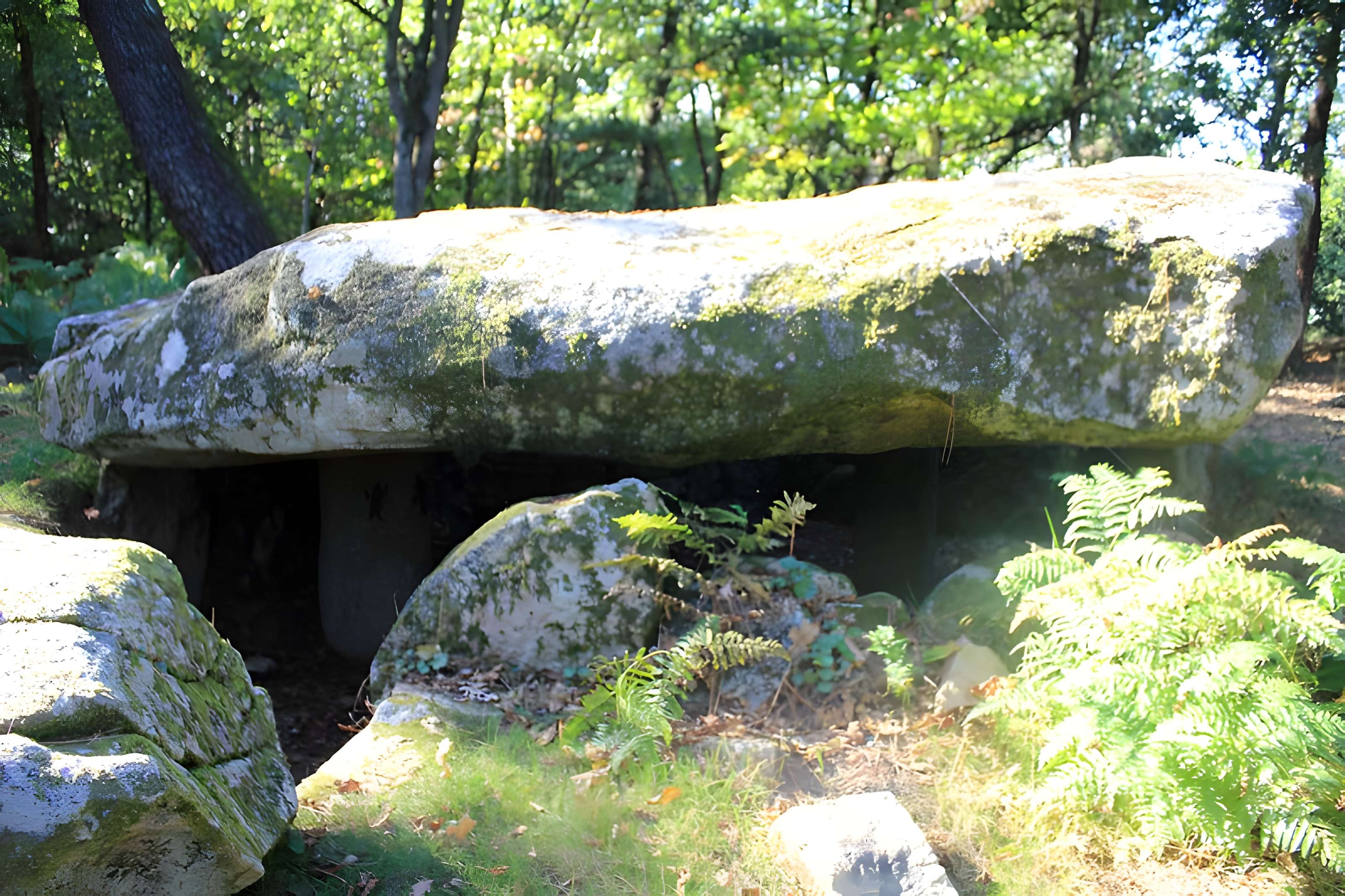 Dolmen de Mané-er-Loh à Locoal-Mendon