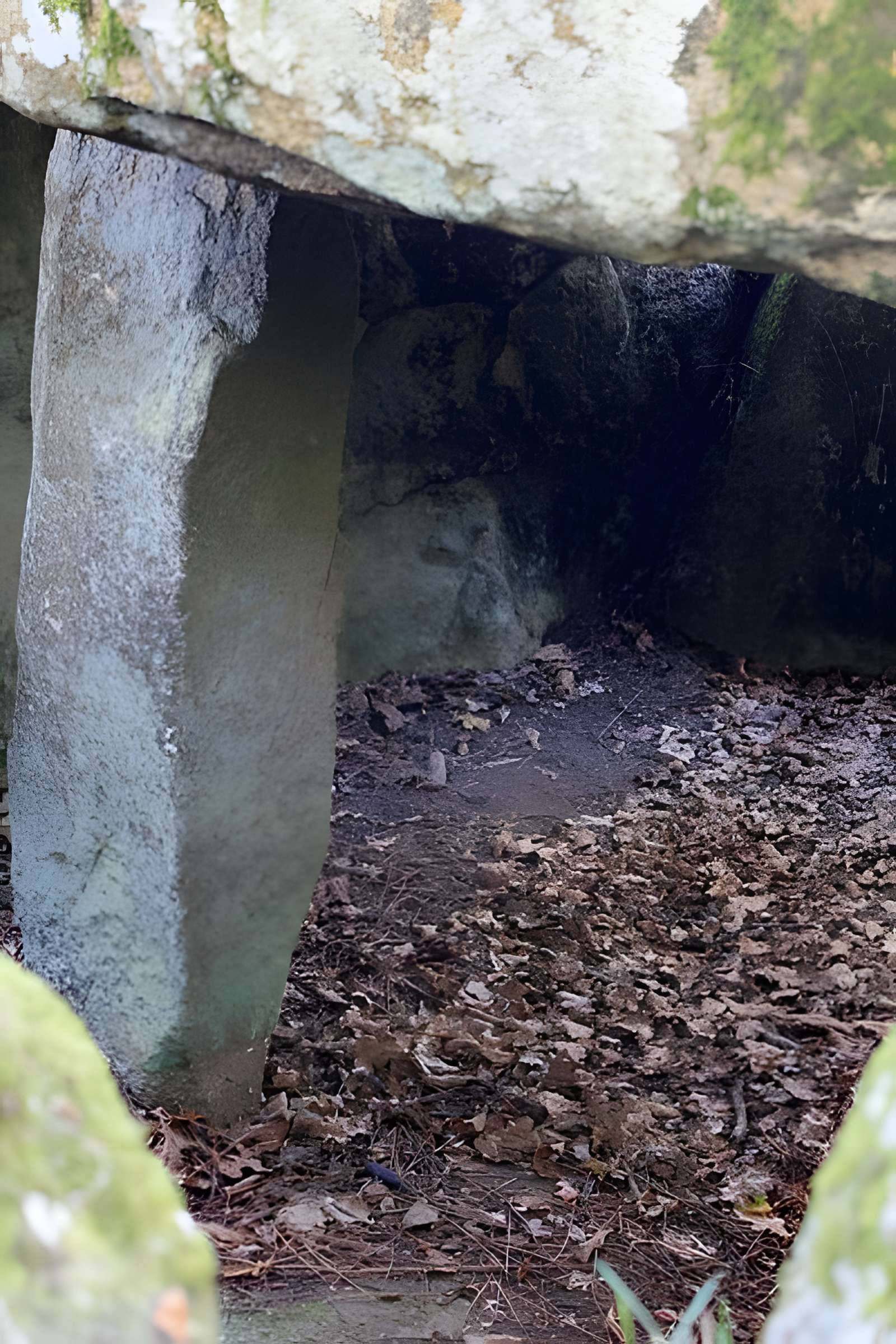 Dolmen de Mané-er-Loh à Locoal-Mendon