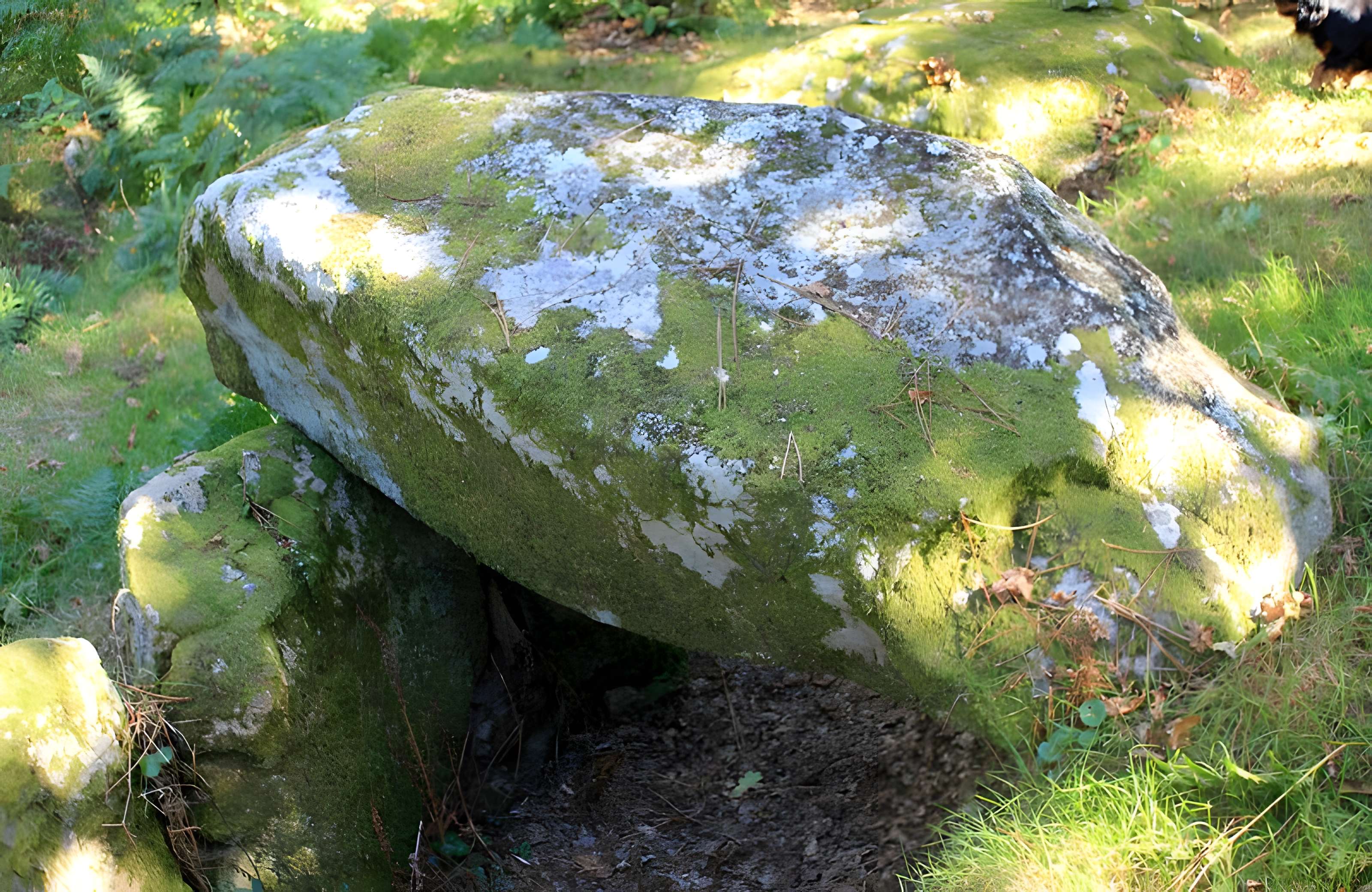 Dolmen de Mané-er-Loh à Locoal-Mendon
