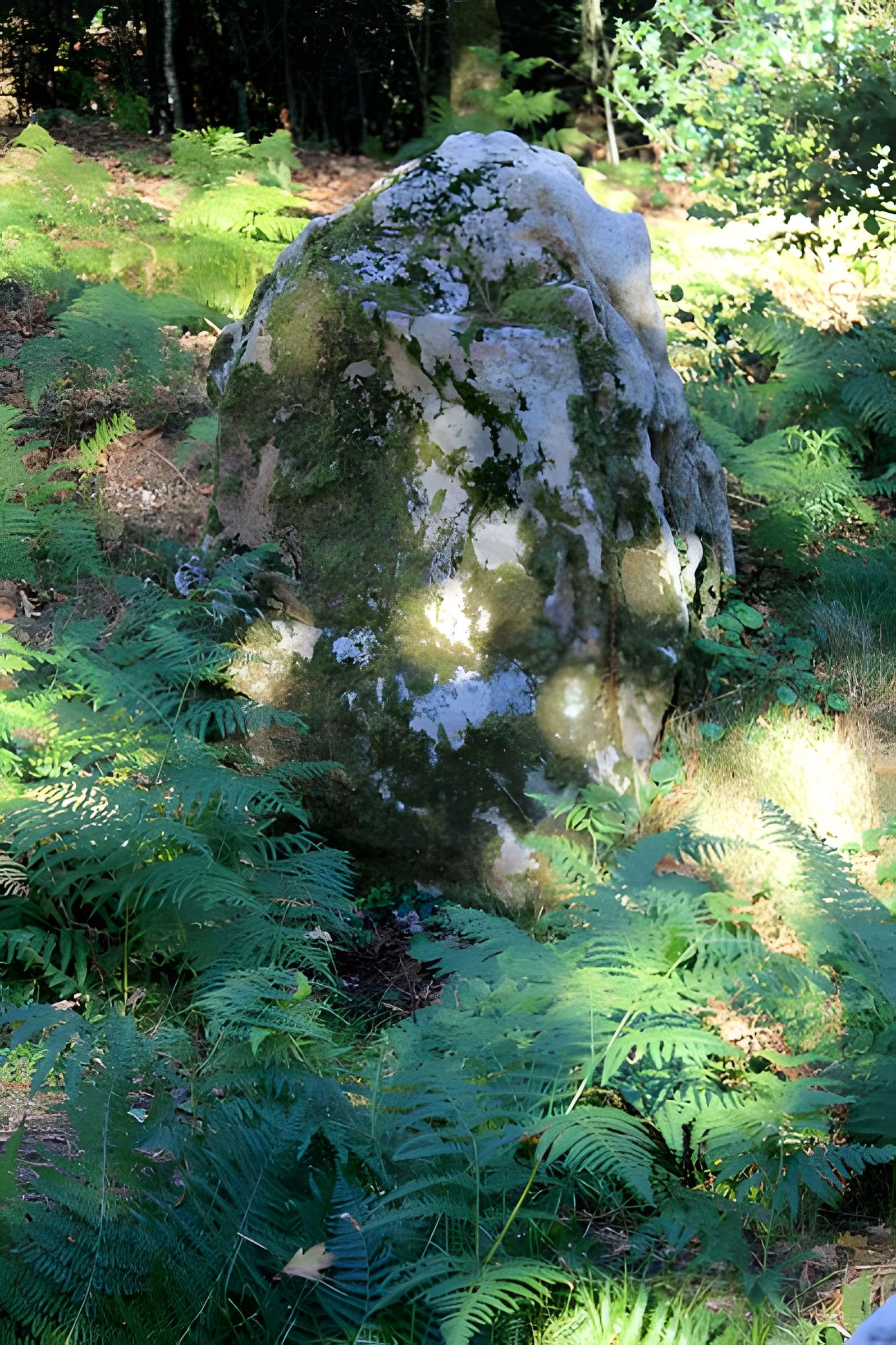 Dolmen de Mané-er-Loh à Locoal-Mendon