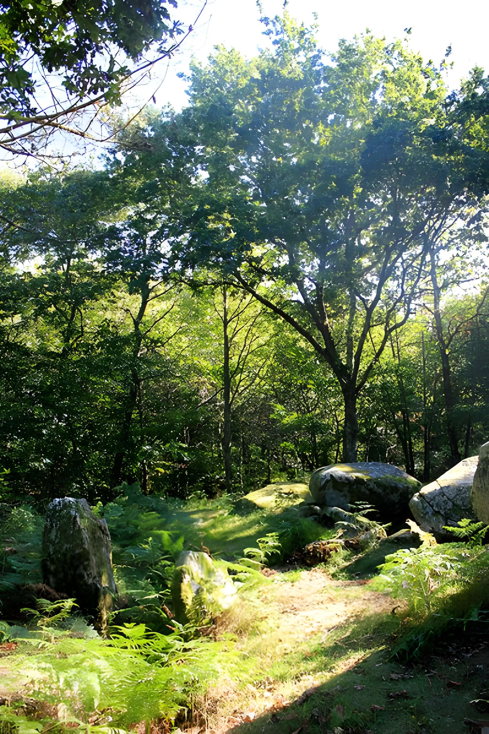 Dolmen de Mané-er-Loh à Locoal-Mendon