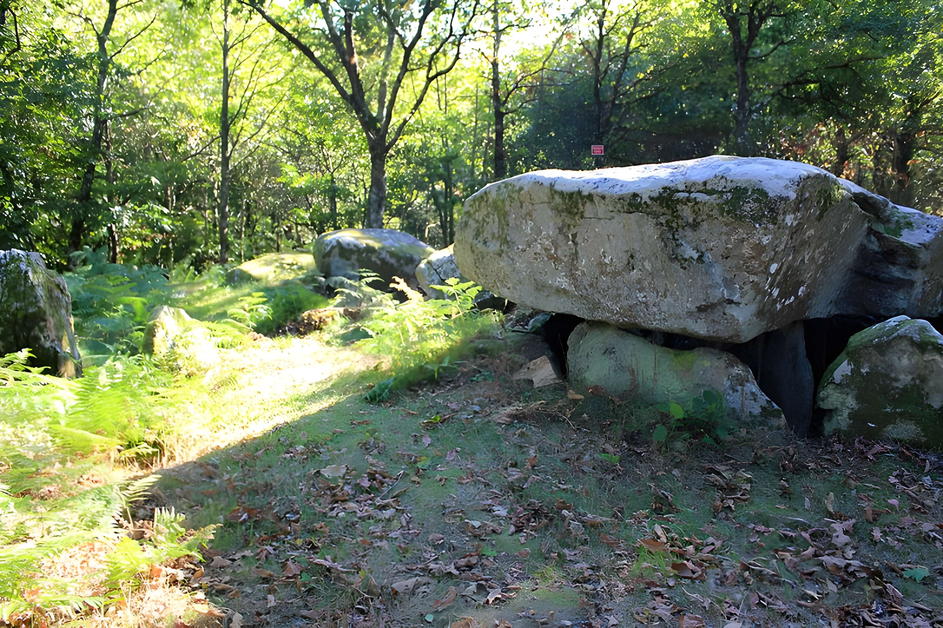 Dolmen de Mané-er-Loh à Locoal-Mendon