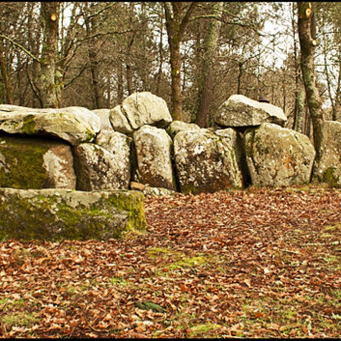 Photo de Dolmen de Mané-Groh à Erdeven