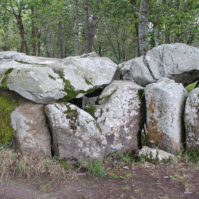 Photo de Dolmen de Mané-Groh à Erdeven
