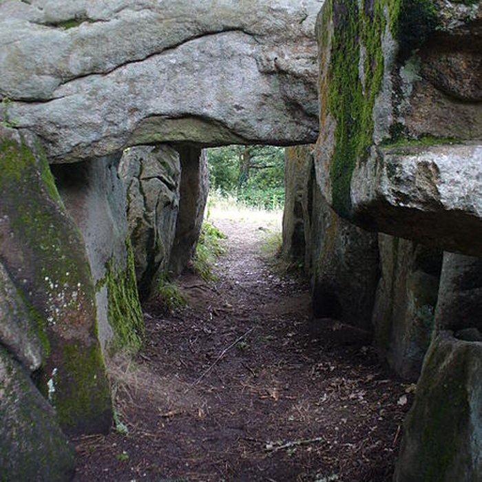 Photo de Dolmen de Mané-Groh à Erdeven