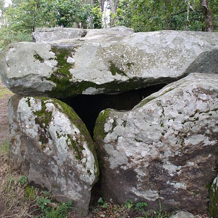 Photo de Dolmen de Mané-Groh à Erdeven