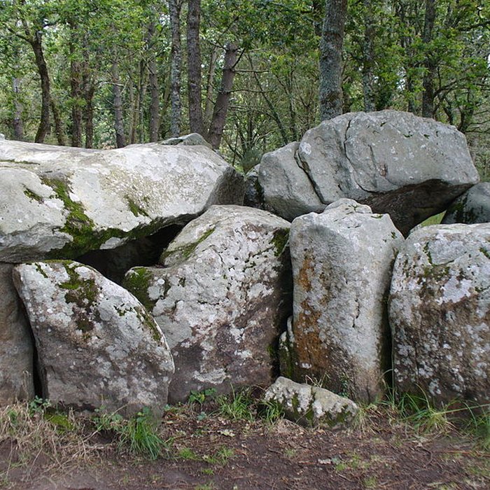 Photo de Dolmen de Mané-Groh à Erdeven