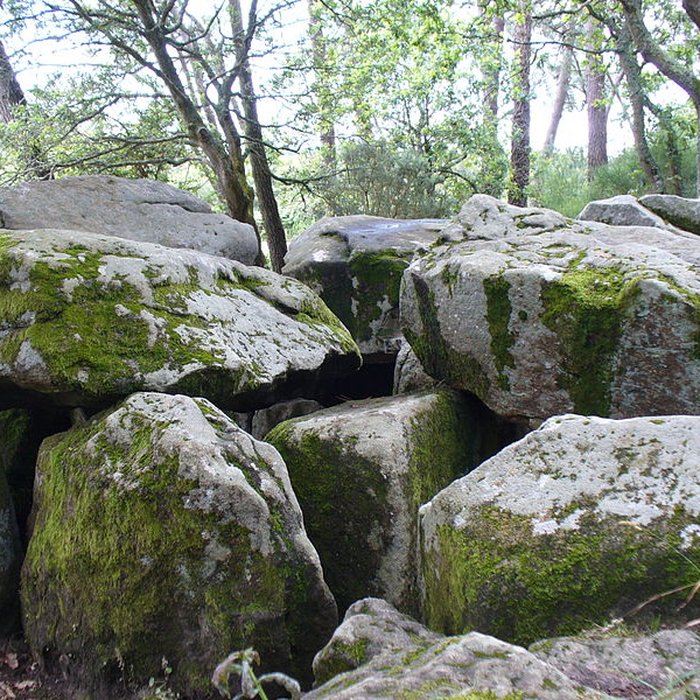 Photo de Dolmen de Mané-Groh à Erdeven