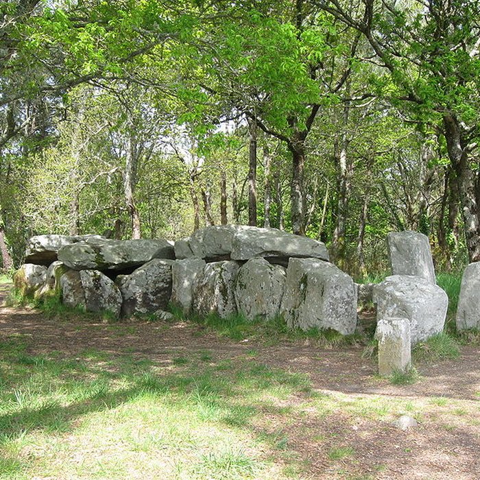 Photo de Dolmen de Mané-Groh à Erdeven