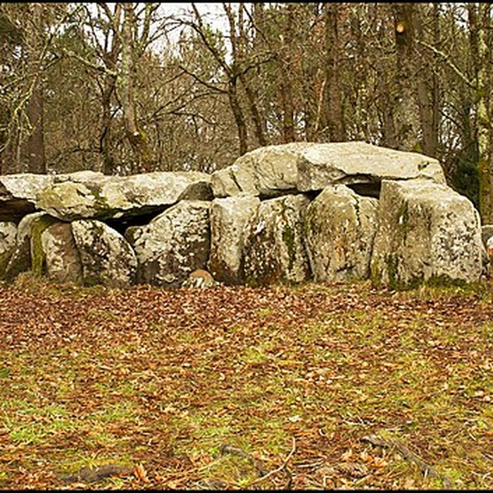 Photo de Dolmen de Mané-Groh à Erdeven