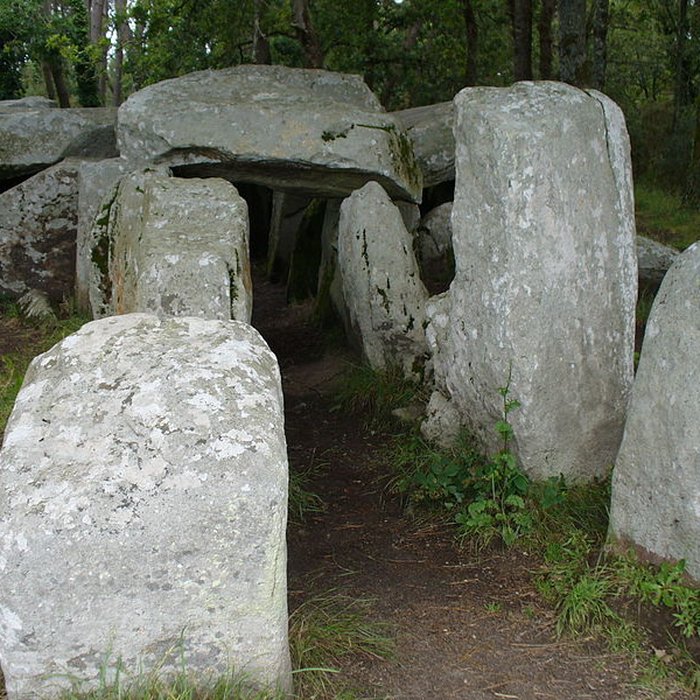 Photo de Dolmen de Mané-Groh à Erdeven