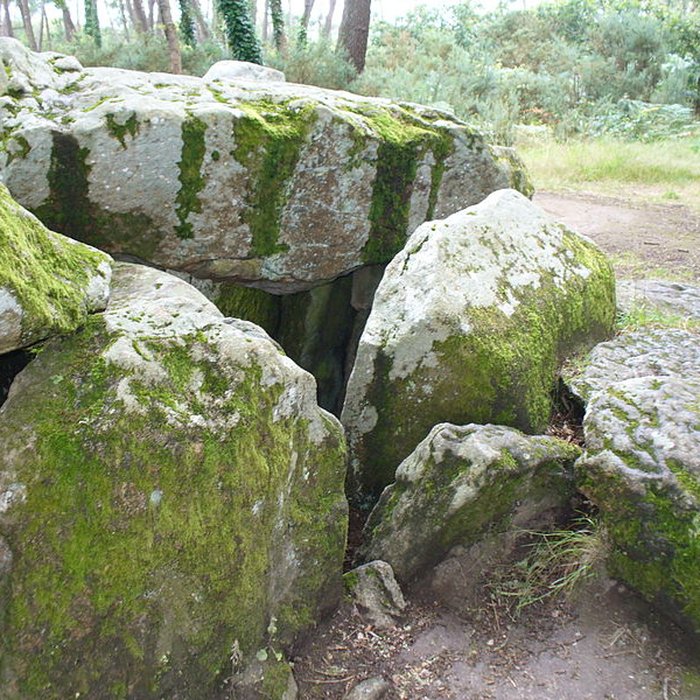 Photo de Dolmen de Mané-Groh à Erdeven