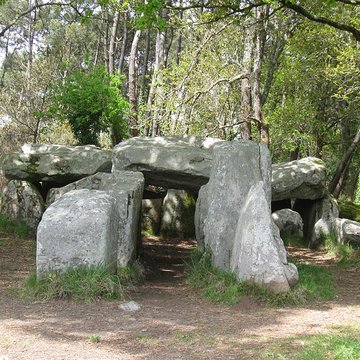Dolmen de Mané-Groh à Erdeven