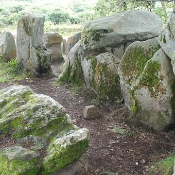 Dolmen de Mané-Groh à Erdeven