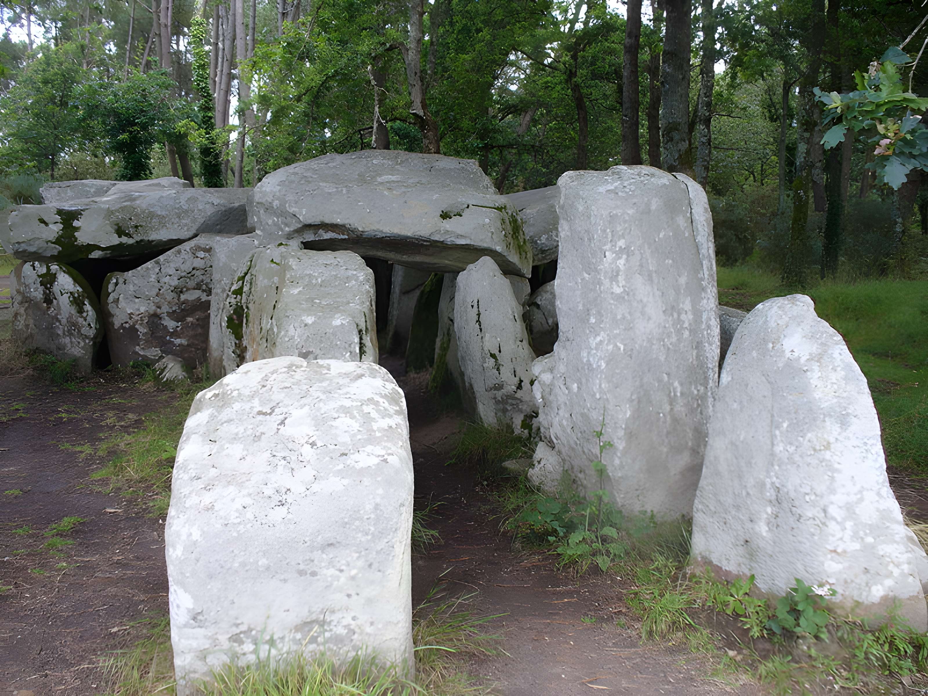 Dolmen de Mané-Groh à Erdeven