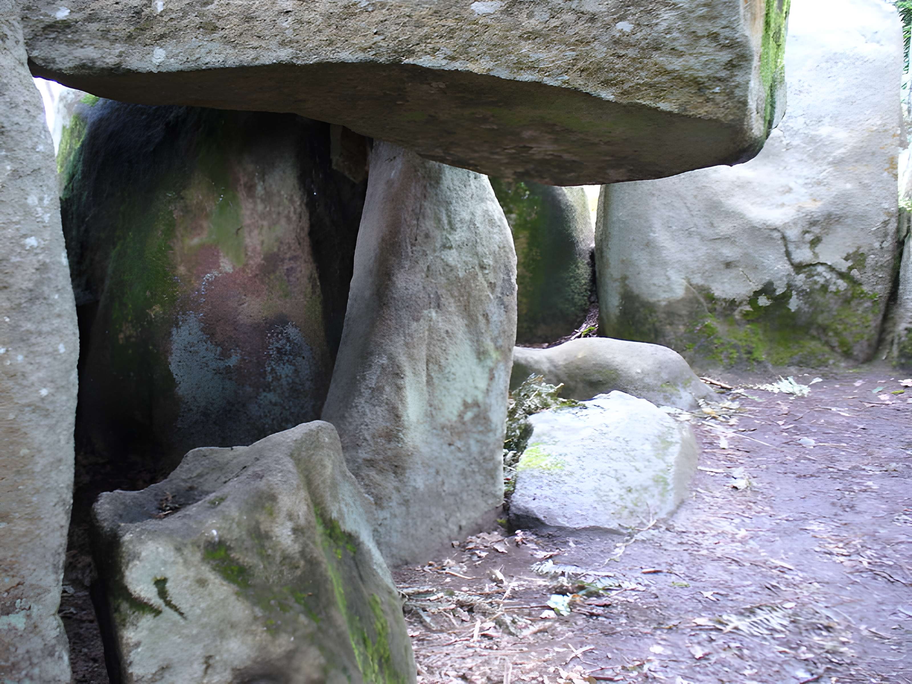 Dolmen de Mané-Groh à Erdeven