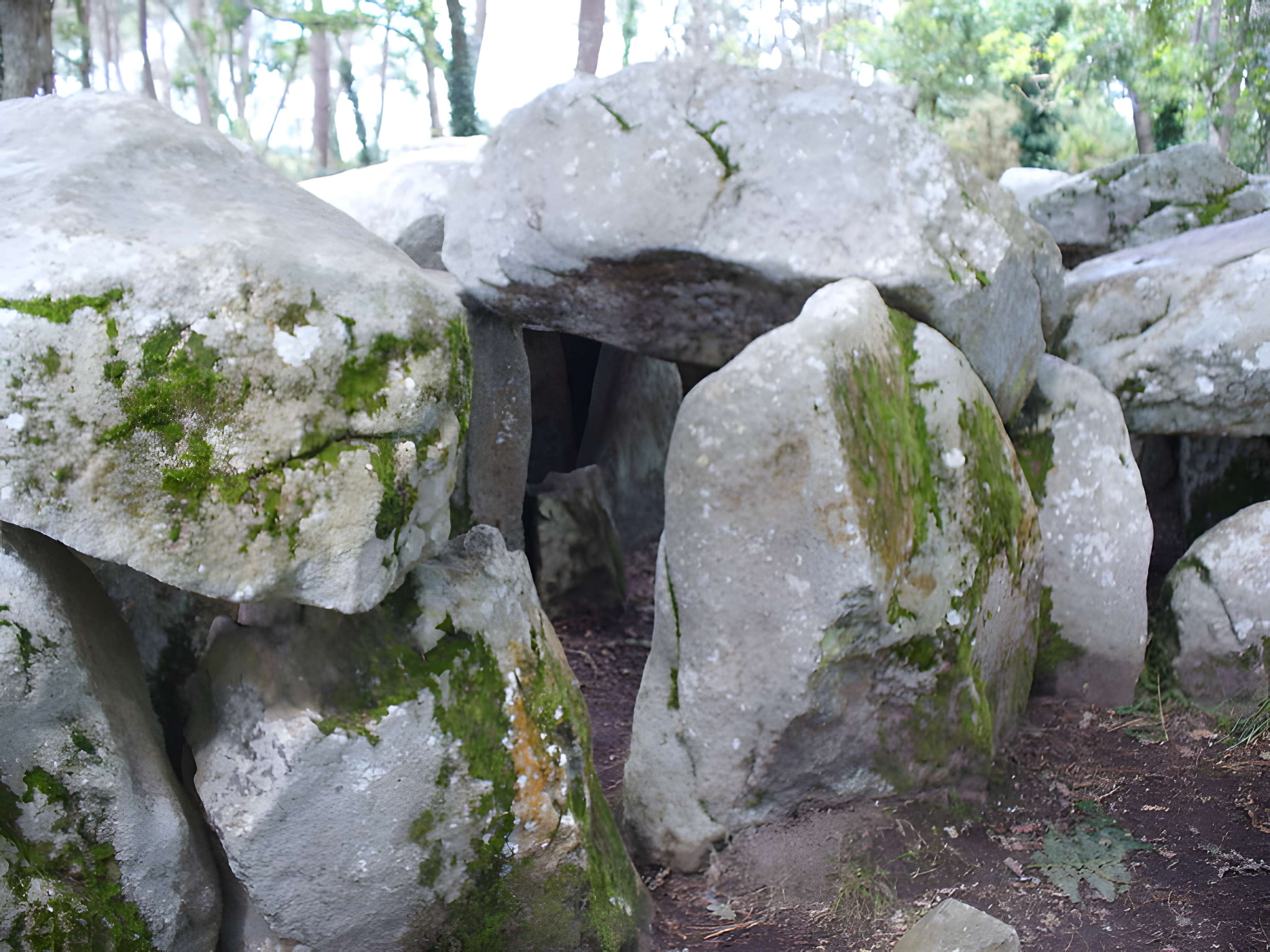 Dolmen de Mané-Groh à Erdeven