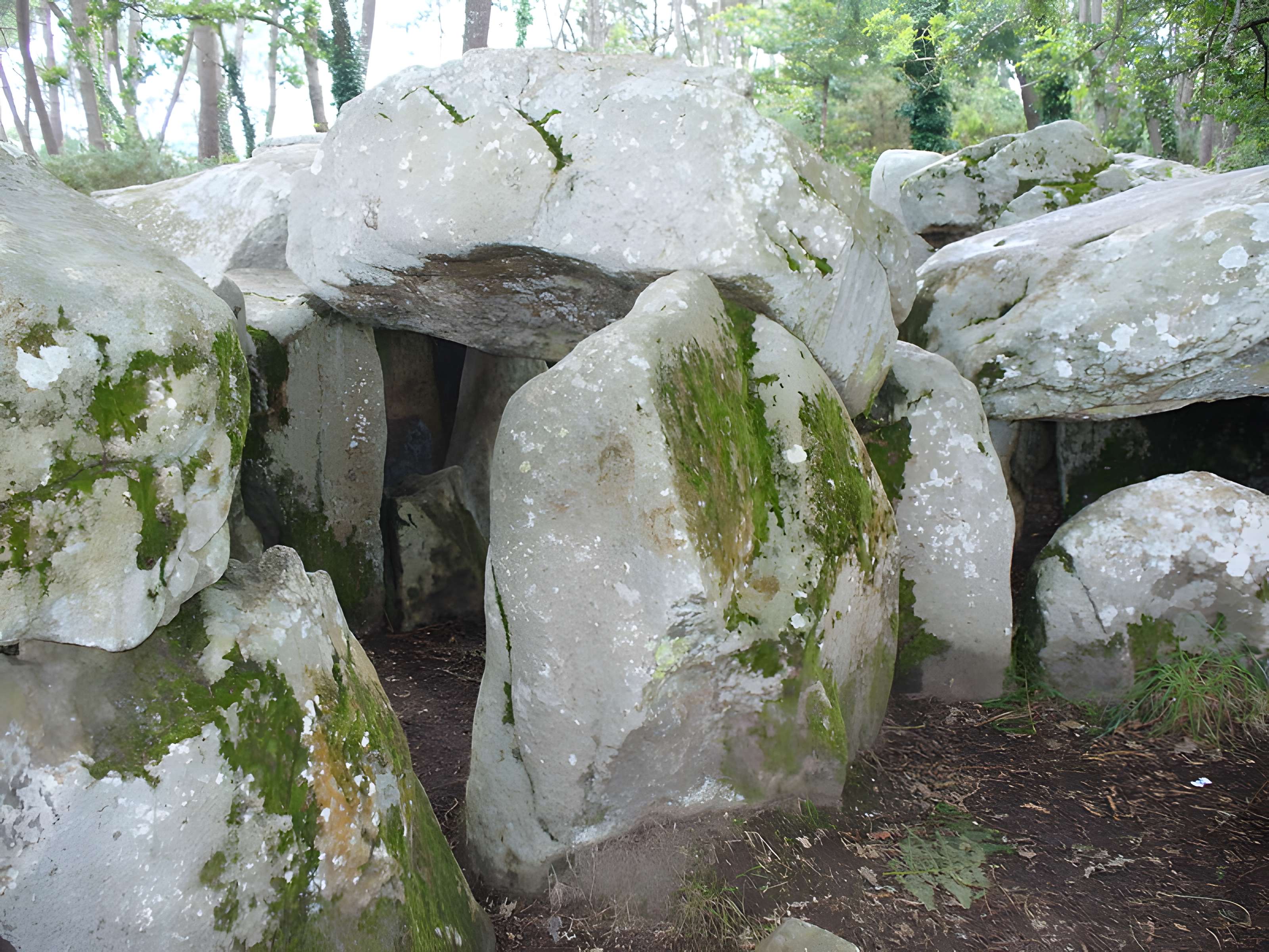Dolmen de Mané-Groh à Erdeven