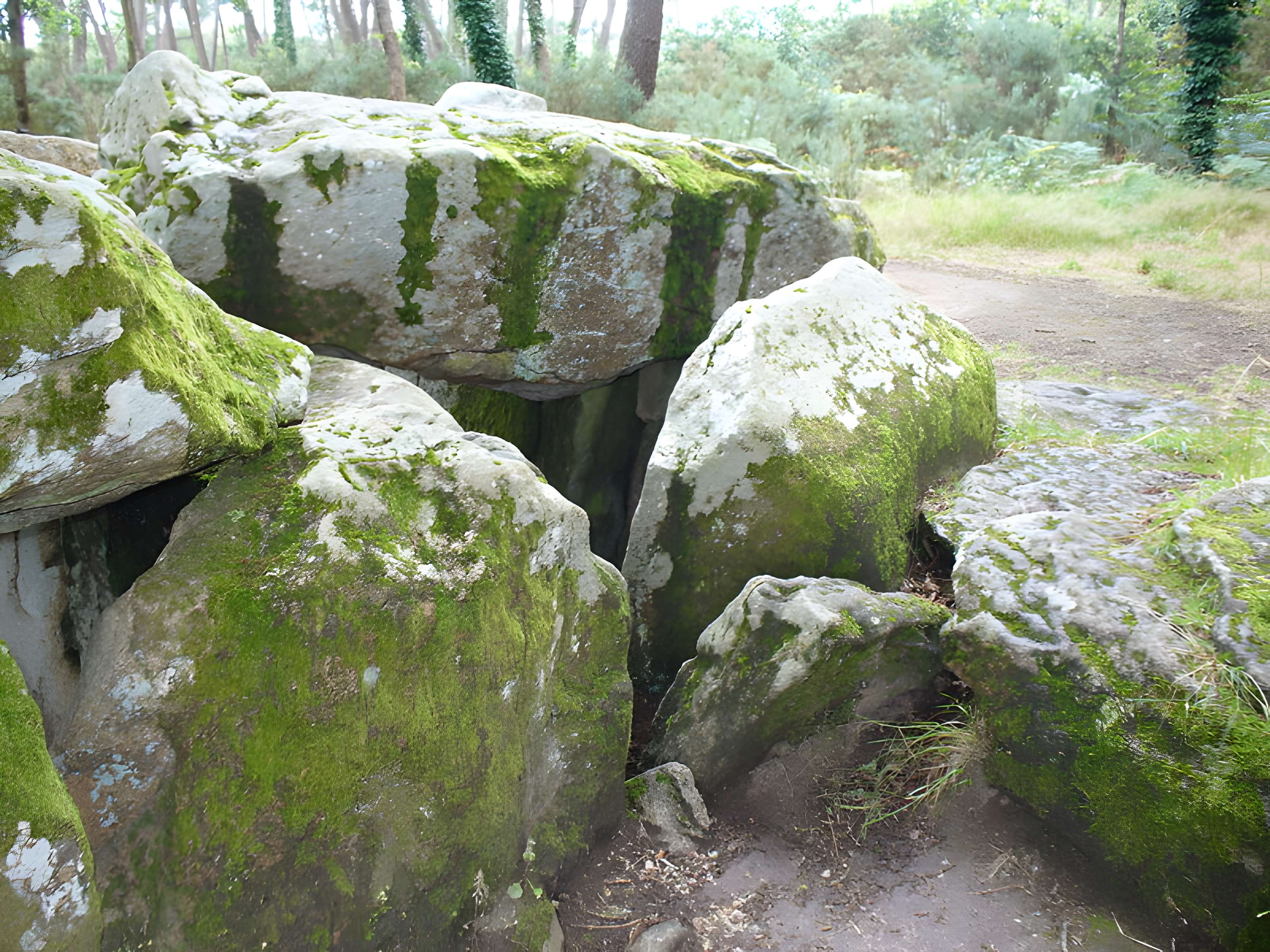 Dolmen de Mané-Groh à Erdeven