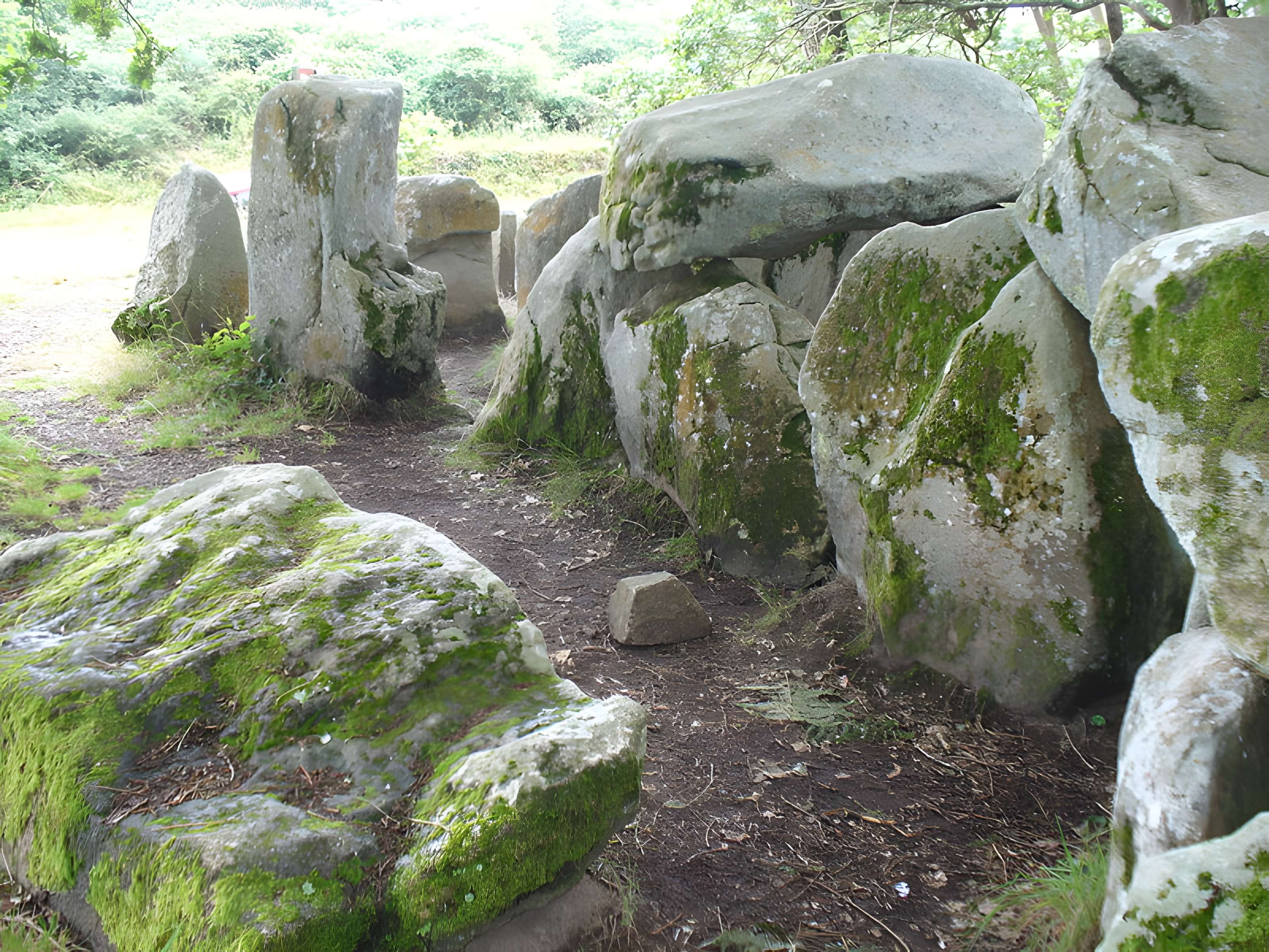 Dolmen de Mané-Groh à Erdeven